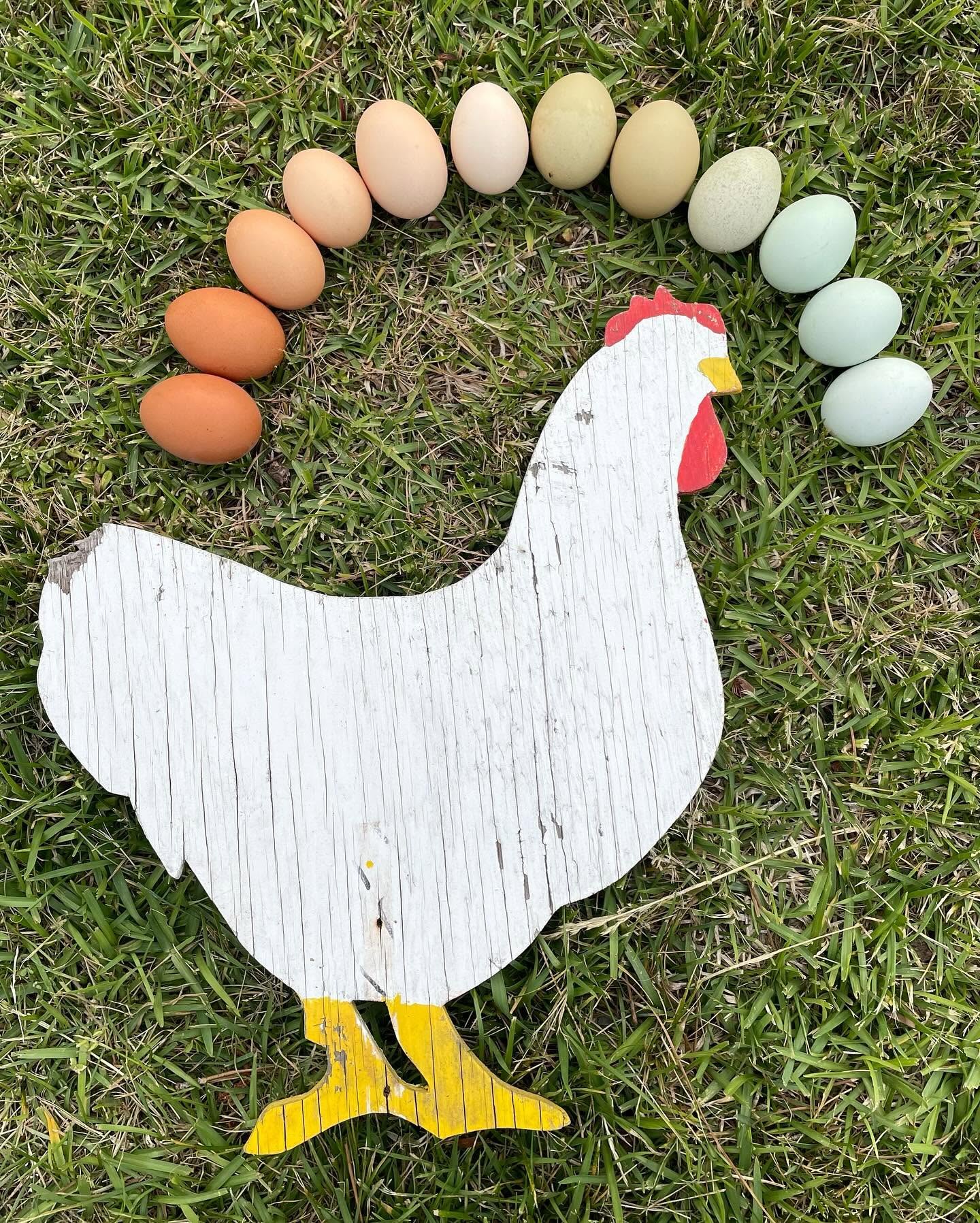 Eggs in every shell color arranged around a painted wooden hen